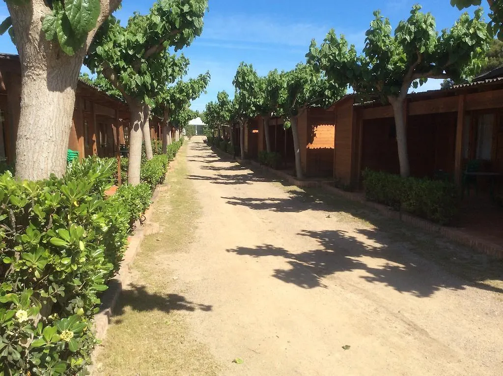 Campsite Camping Playa Y Fiesta Miami Playa